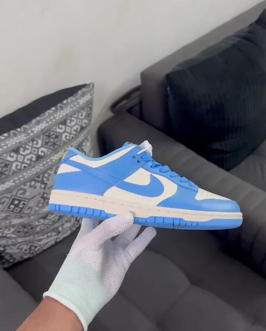 Nike Dunk Low Blue1