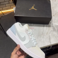 Nike Air Jordan Paris