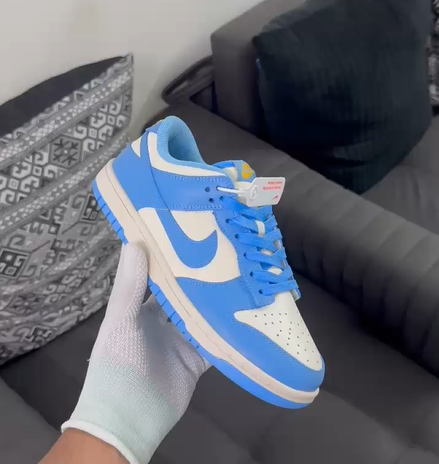 Nike Dunk Low