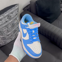 Nike Dunk Low