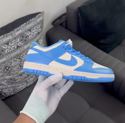Nike Dunk Low